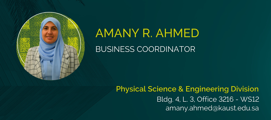 2024 Amany R. Ahmed  v2 - PSE Personnel Profile Cards (1)