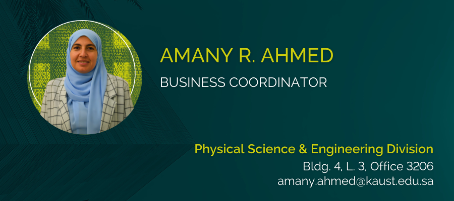 2025 Amany R. Ahmed  v2 - PSE Personnel Profile Cards