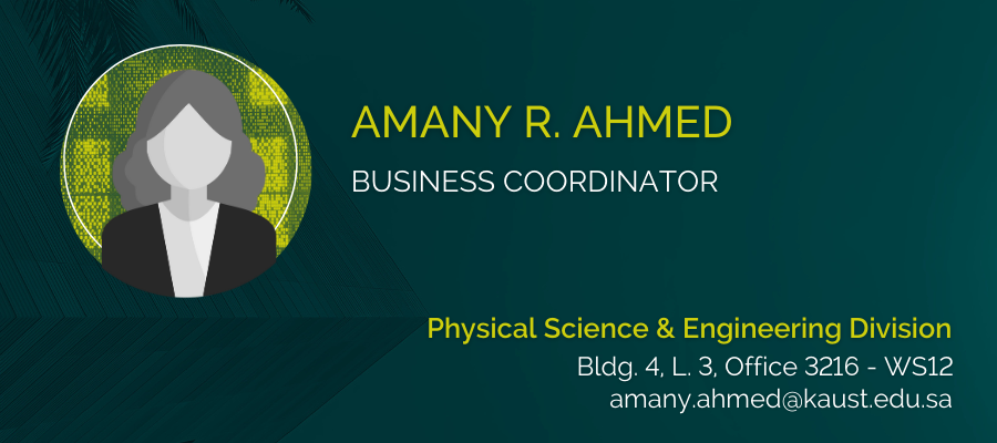 2024 Amany R. Ahmed  v2 - PSE Personnel Profile Cards