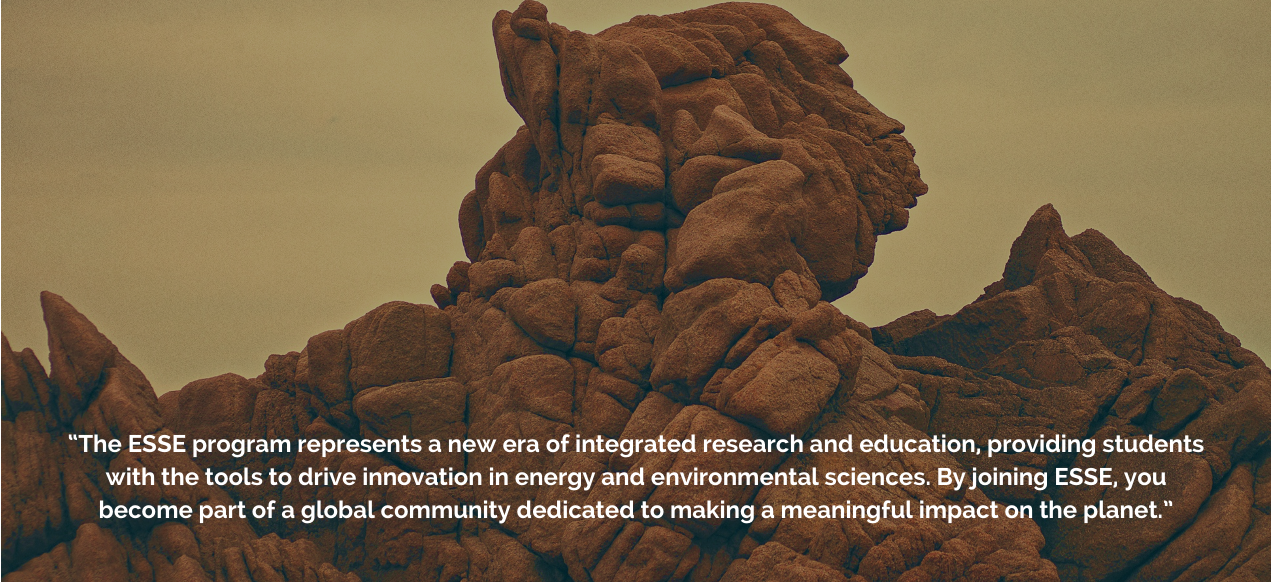 ESSE landing page image 1
